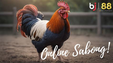 sabong enthusiasts|Sabong Philippines .